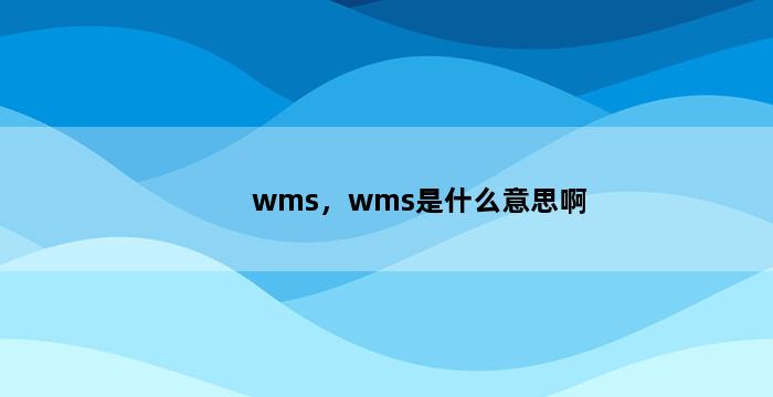 飞马电商补单