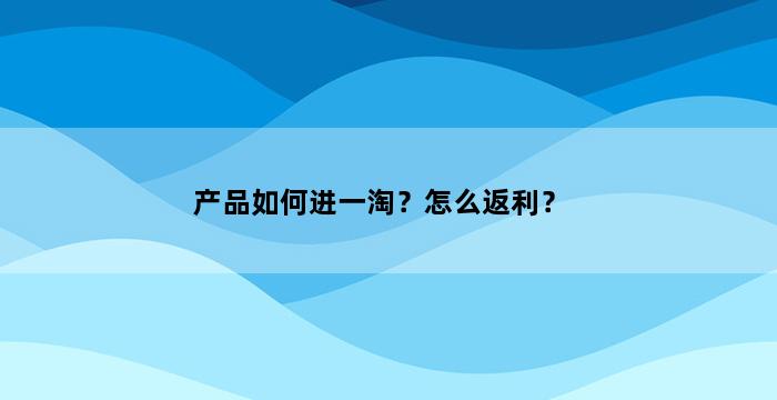 飞马电商补单