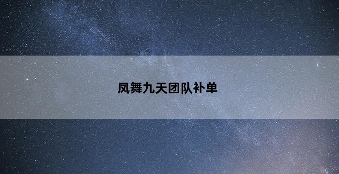 飞马电商补单