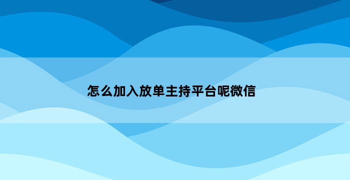 飞马电商补单