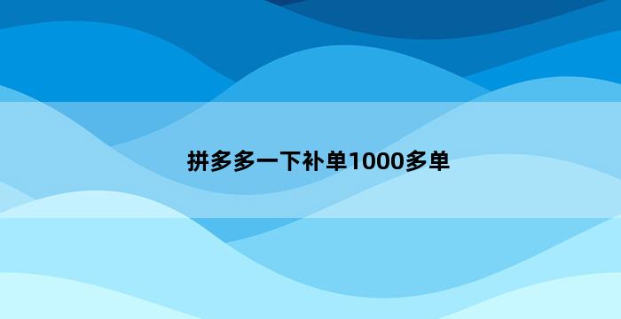 飞马电商补单