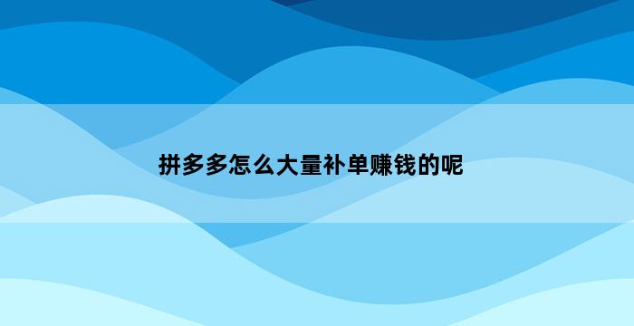 飞马电商补单