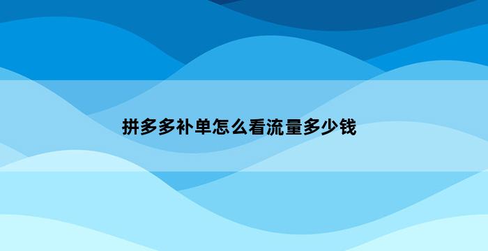 飞马电商补单