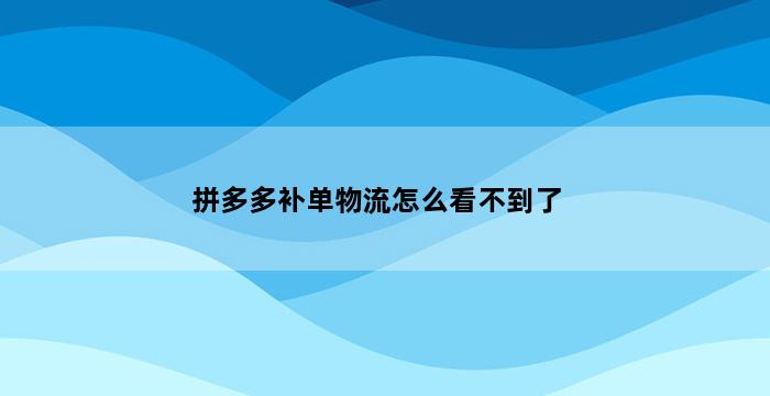 飞马电商补单