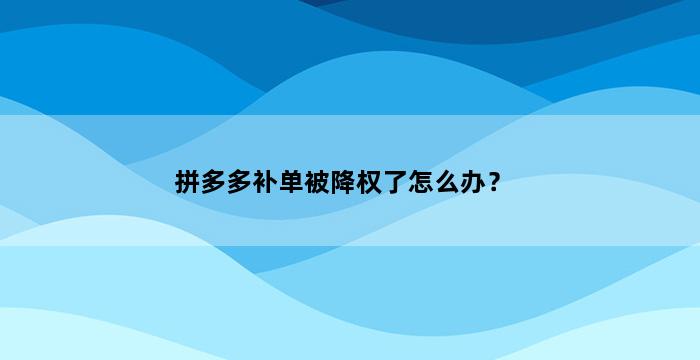 飞马电商补单