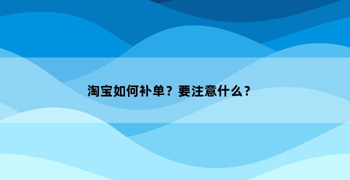 飞马电商补单