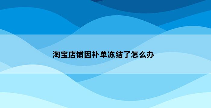 飞马电商补单