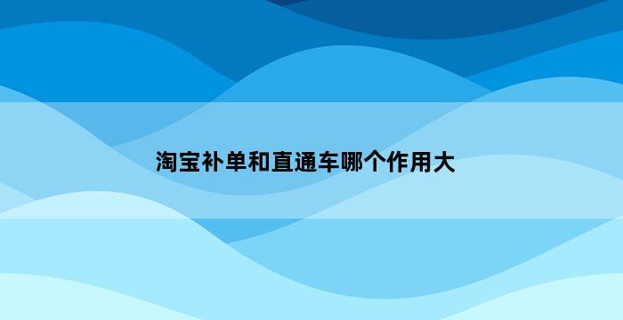 飞马电商补单