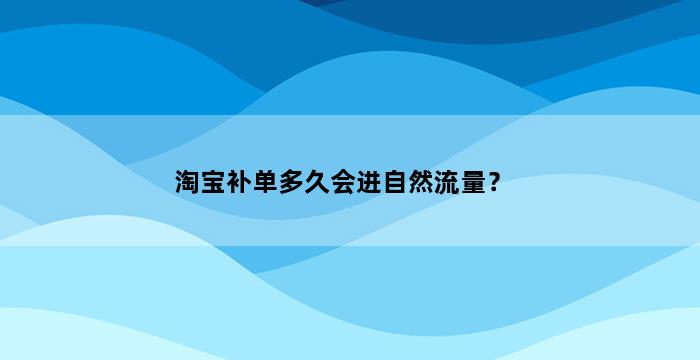 飞马电商补单