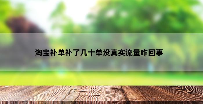 飞马电商补单