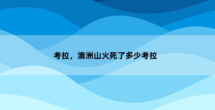 飞马电商补单